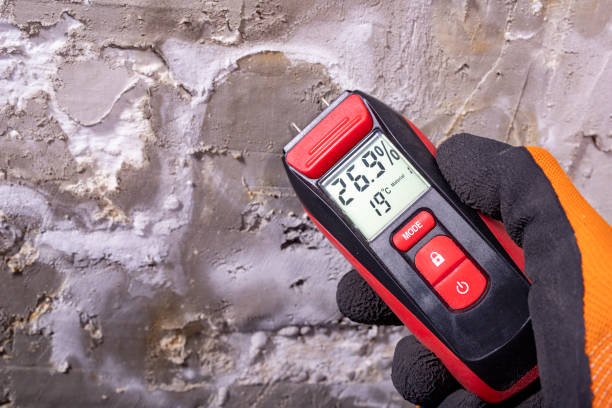 Crawl Space Mold Removal in Raymore, MO