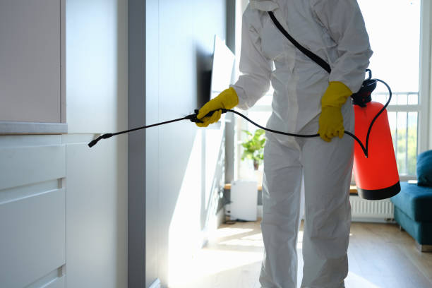 Mold Removal and Inspection in Raymore, MO