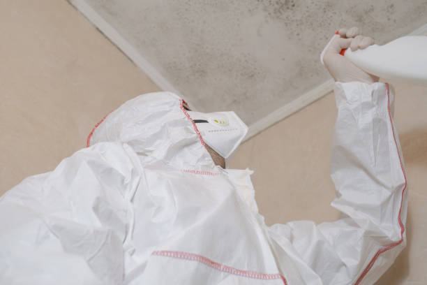 Best Mold Inspection  in Rayre, MO