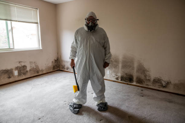 Reliable Raymore, MO Mold Removal Solutions
